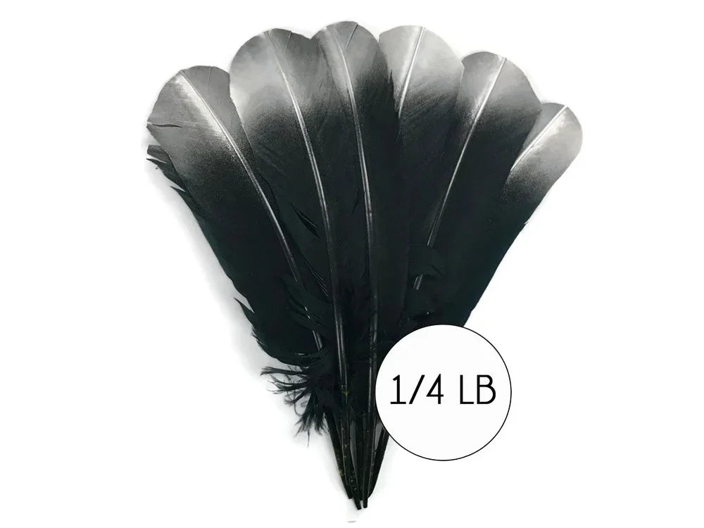 Fan of large black feathers for crafts and fashion decor, 1/4 lb bundle.
