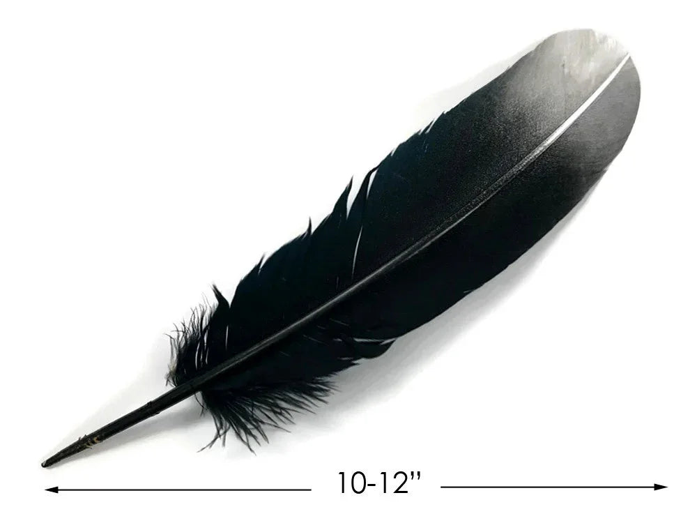 Large black craft feather for DIY fashion and décor, 10-12 inches long.