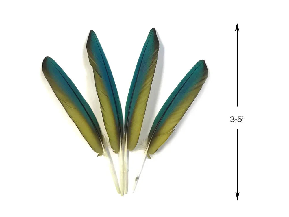 Four teal and olive green craft feathers, 3-5 inches long, for DIY fashion and decor.