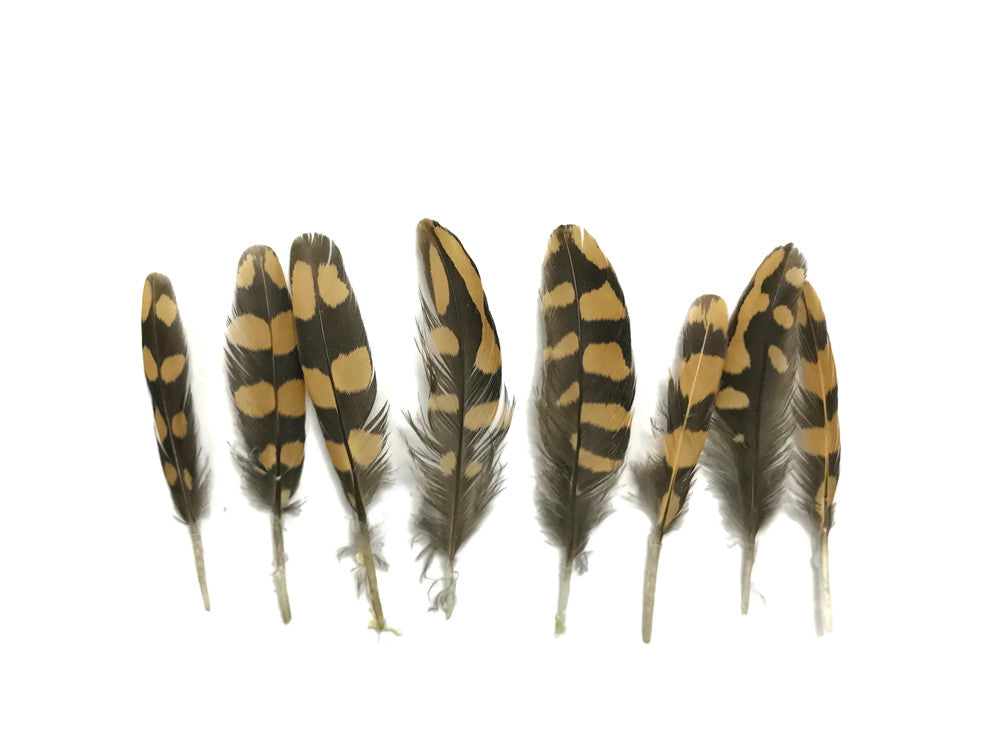 10 Pieces - Natural Polka Dot Brown Partridge Mini Wing Feathers