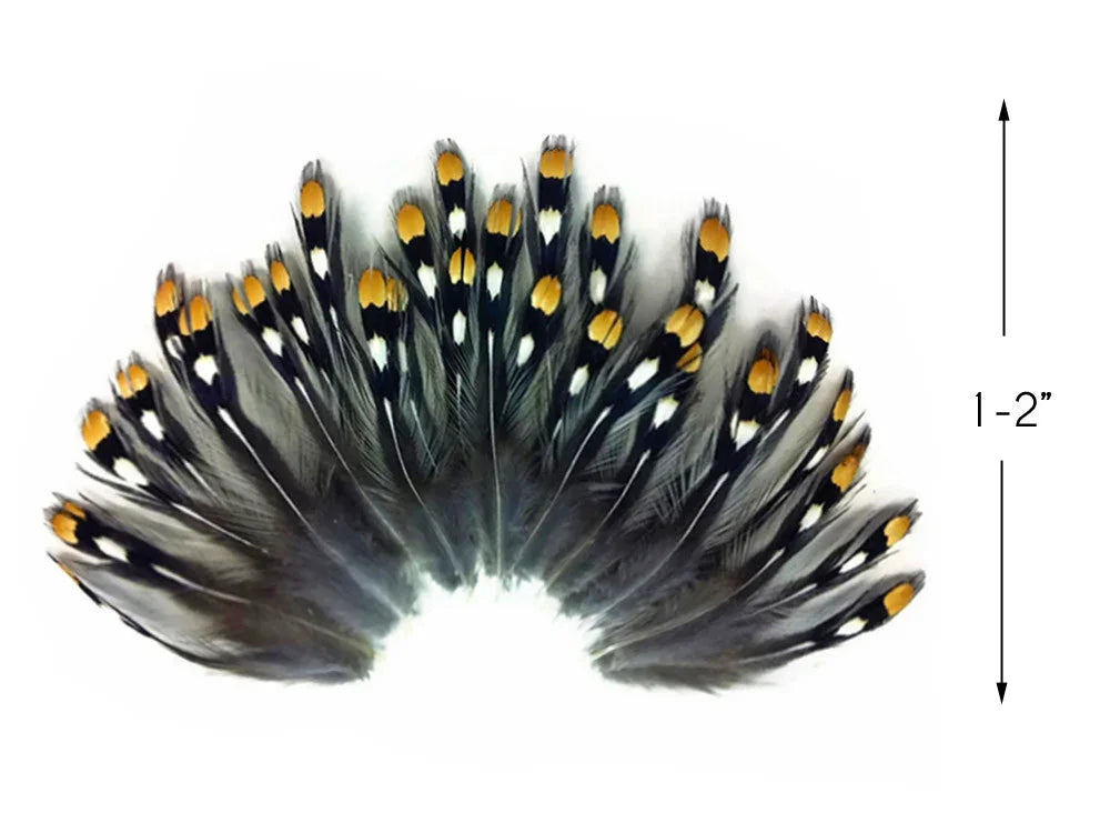 Black and white patterned feathers with orange tips, 1-2 inches in size for DIY crafts.