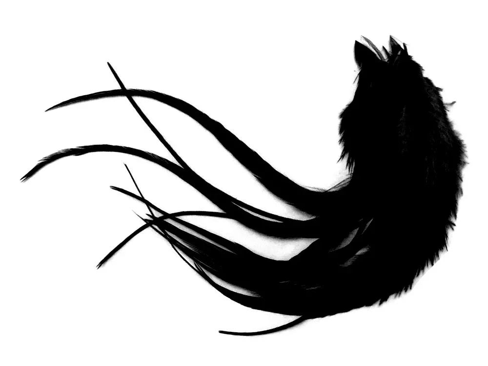 Elegant black feather plumes for fashion and DIY craft decor on a white background.