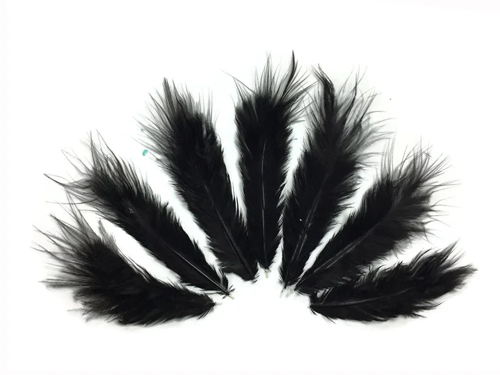 Set of long black feathers arranged in a fan shape on a white background.