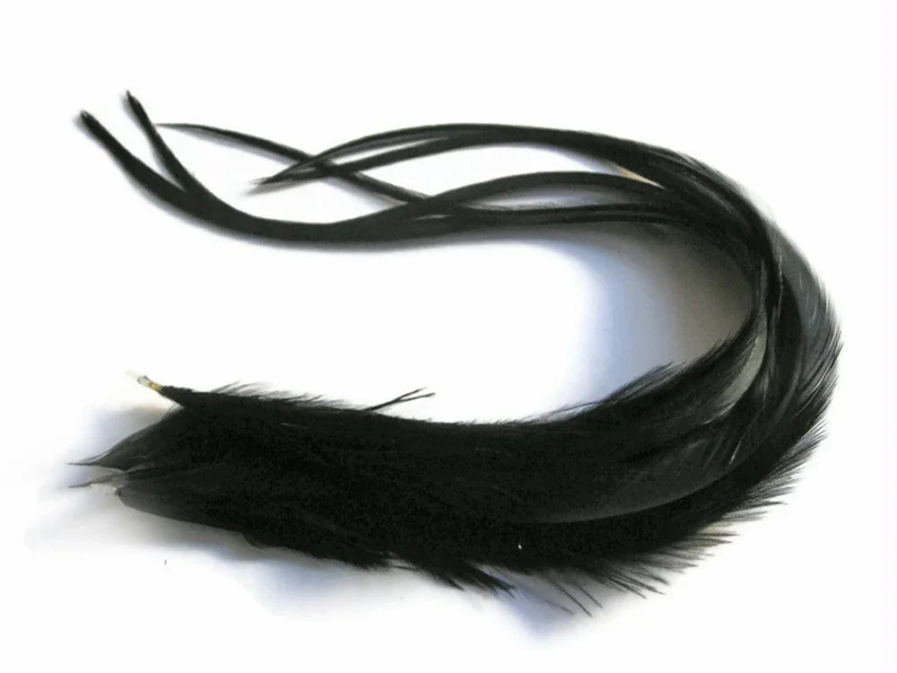 Long black decorative feathers for DIY crafts and fashion accessories.