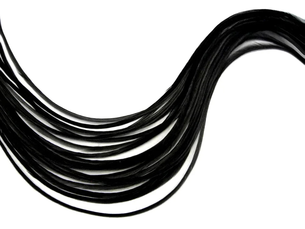 Long, flowing black feathers for DIY crafts and fashion accessories on a white background.