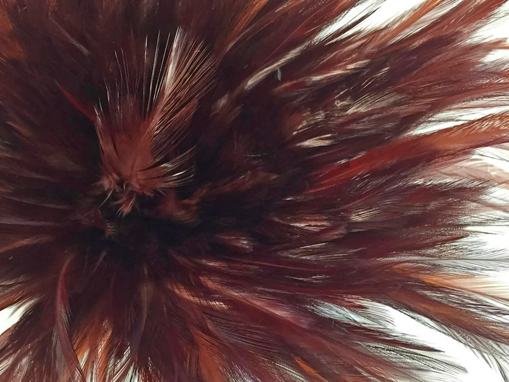 4 Inch Strip – 4-6” Dyed Brown Strung Chinese Rooster Saddle Feathers