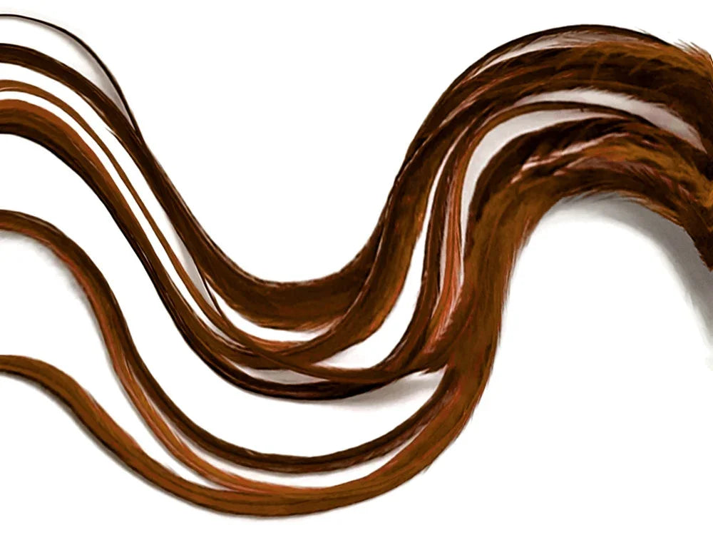 Long, flowing brown decorative feathers for DIY crafts and fashion accessories.