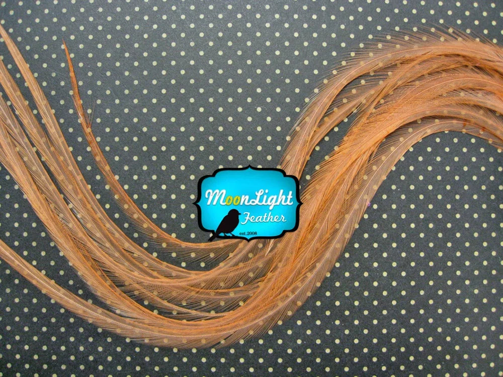 Long, flowing brown decorative feathers on a black polka dot background.
