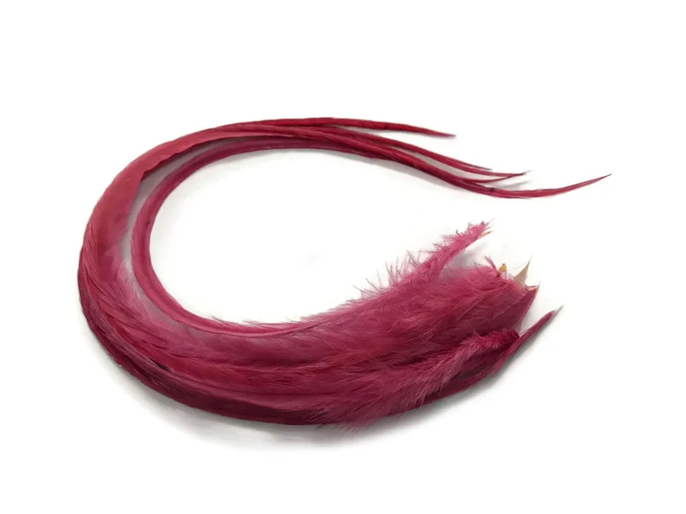 Long magenta dyed feathers for craft and fashion DIY supplies on white background
