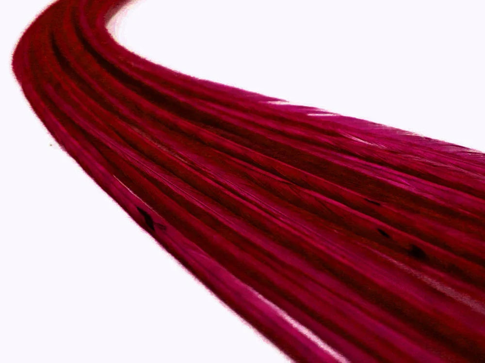 Vibrant magenta red feathers for DIY crafts and fashion accessories on a white background.