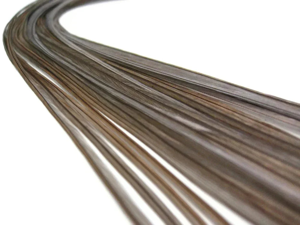 Long, slender brown feathers for fashion and DIY craft supplies.