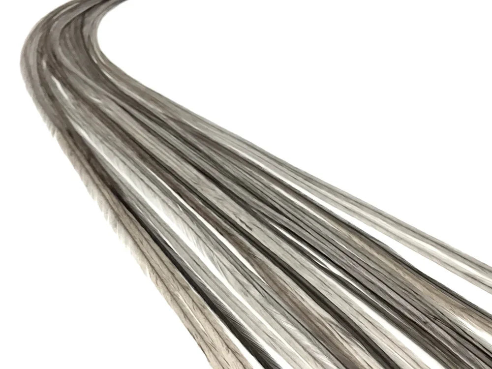 Long, slender grey and white natural feathers for DIY crafts and fashion décor.
