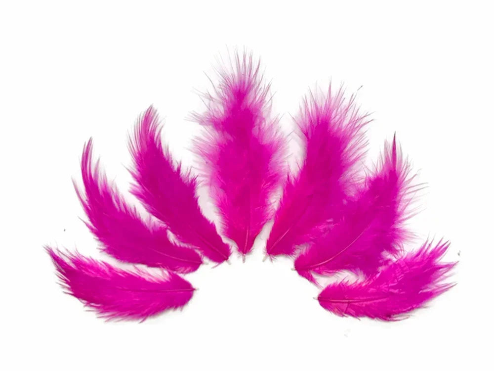 Vibrant bright pink craft feathers arranged in a semi-circle on a white background.