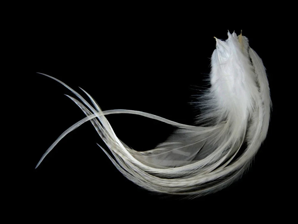 Elegant white decorative feathers for crafts and fashion DIY projects.