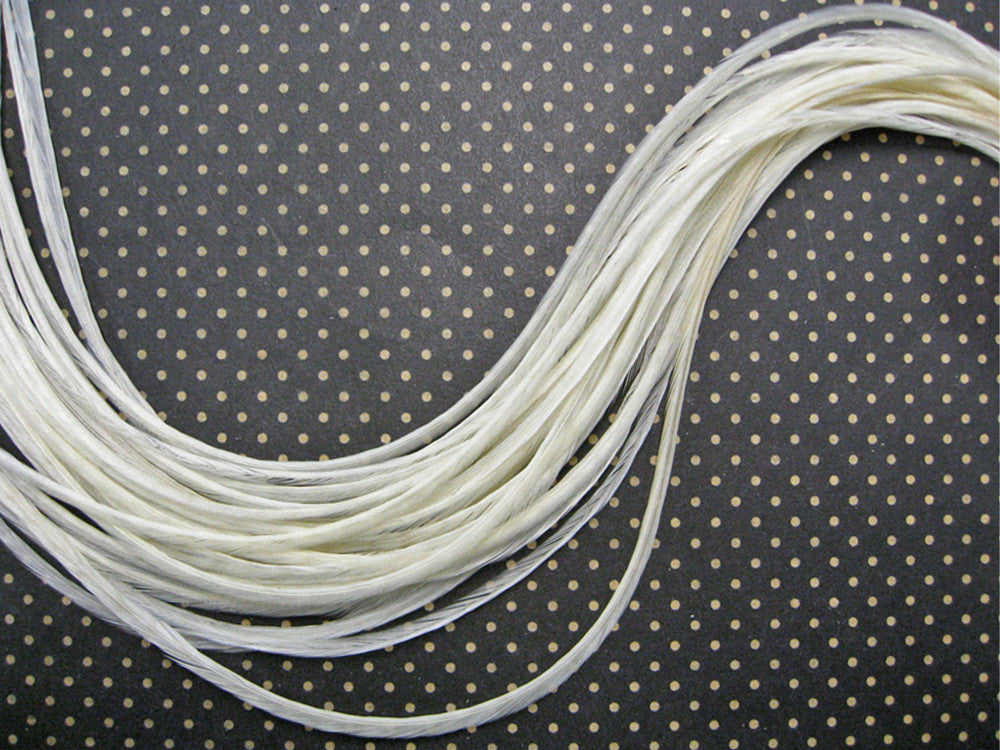 6 Pieces – Extra Long Solid Ivory Thin Long Whiting Farm Rooster Saddle Hair Extension Feathers Summer Craft 11.5”