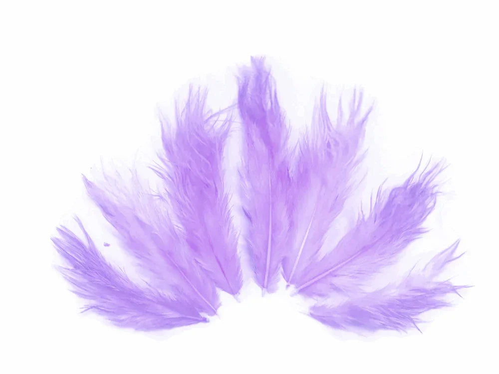 Soft lavender purple feathers arranged in a fan shape on a white background.
