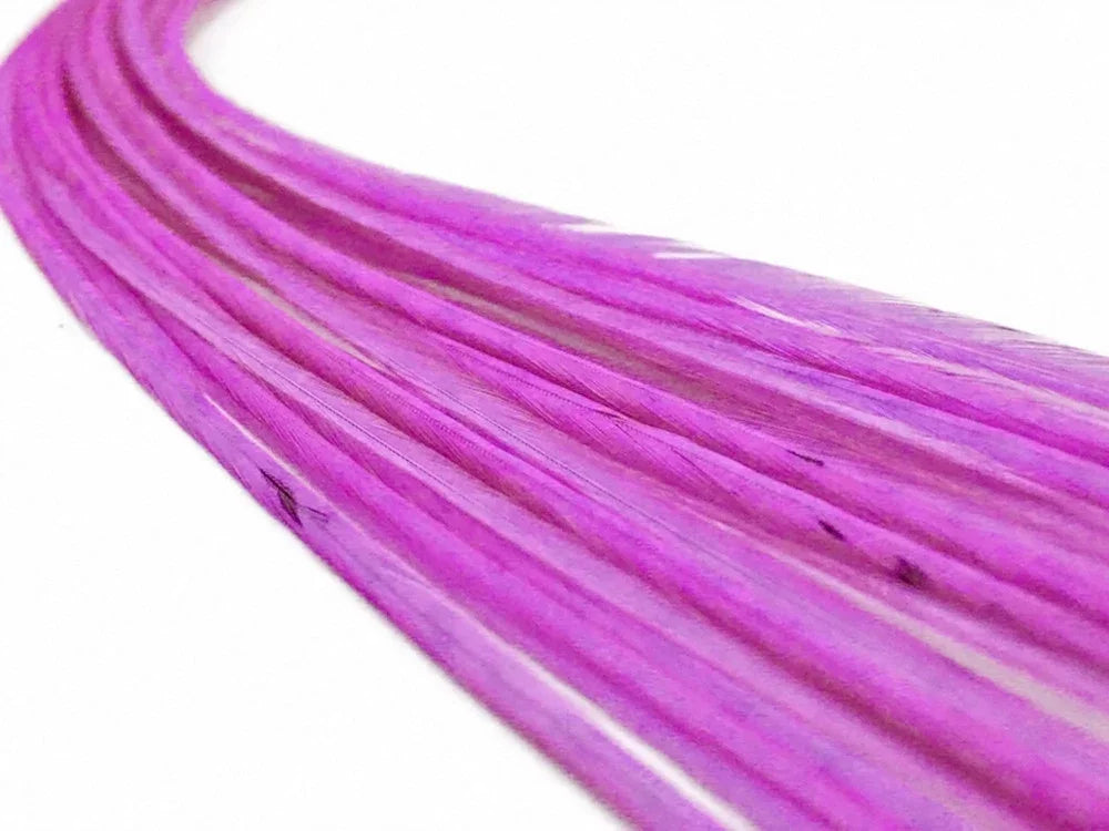 Vibrant pink dyed feathers for crafts and fashion DIY supplies on a white background.