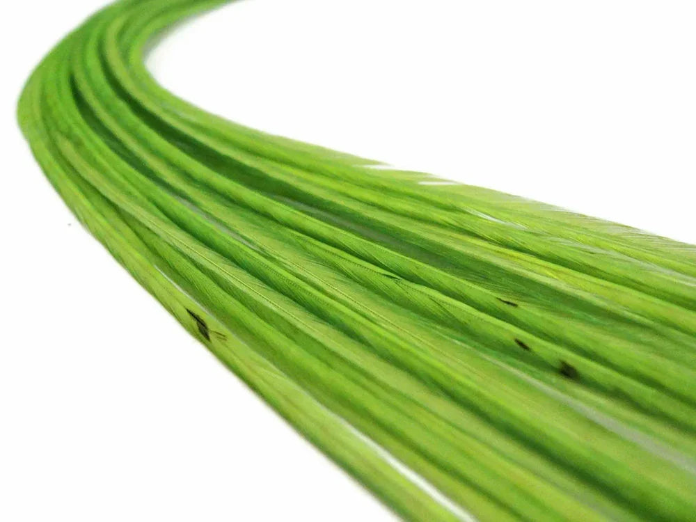 Long vibrant green craft feathers for DIY fashion and decor accessories.