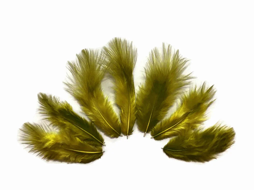 Six vibrant olive green feathers arranged in a semi-circle on a white background.