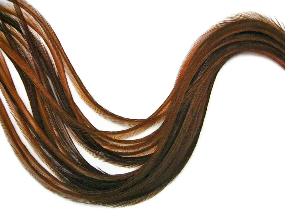Long, elegant brown and copper gradient feathers for crafts and fashion DIY projects.