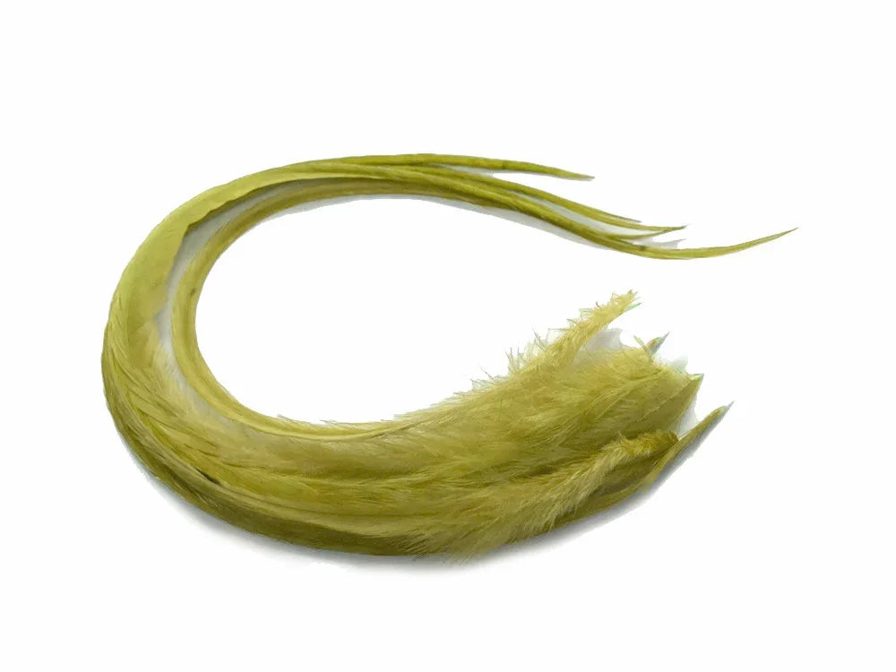 Long, curved olive green feathers for craft and fashion DIY supplies.