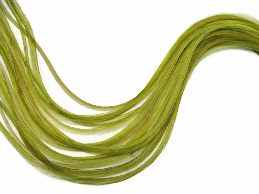 Long olive green craft feathers for DIY fashion and decor accessories.