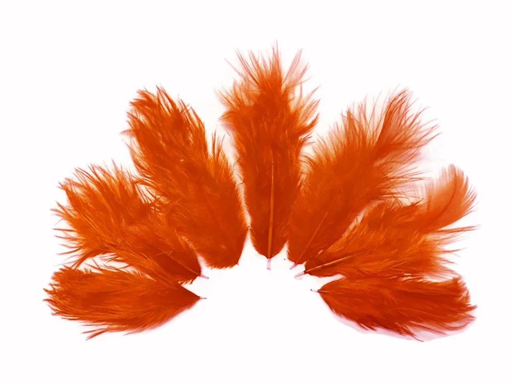 Vibrant orange feathers arranged in a fan shape for DIY crafts and fashion decor.