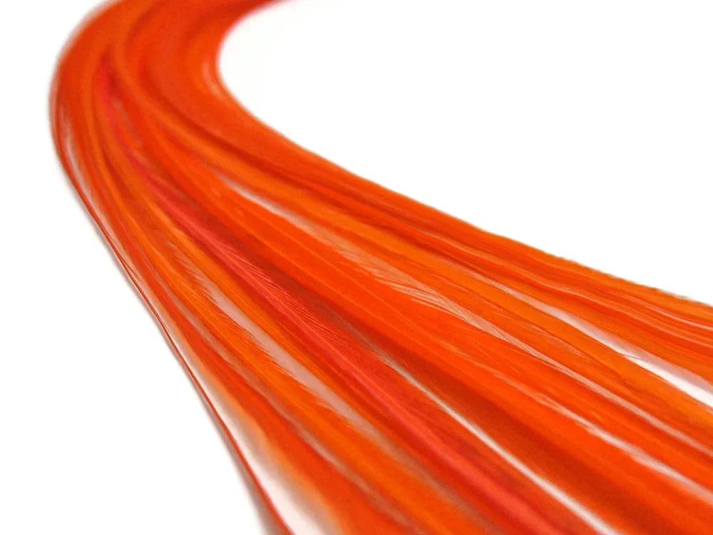 Vibrant orange dyed craft feathers arranged in a curved line on a white background