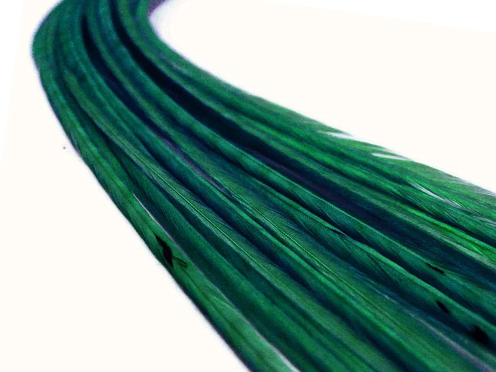 Long iridescent green feathers for fashion and craft DIY supplies.