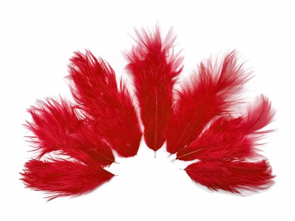 Vibrant red decorative feathers arranged in a fan shape on a white background.