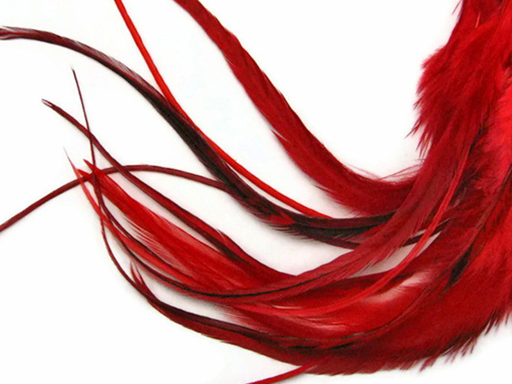 1 Dozen - Medium Solid Red Rooster Saddle Whiting Hair Extension Feathers