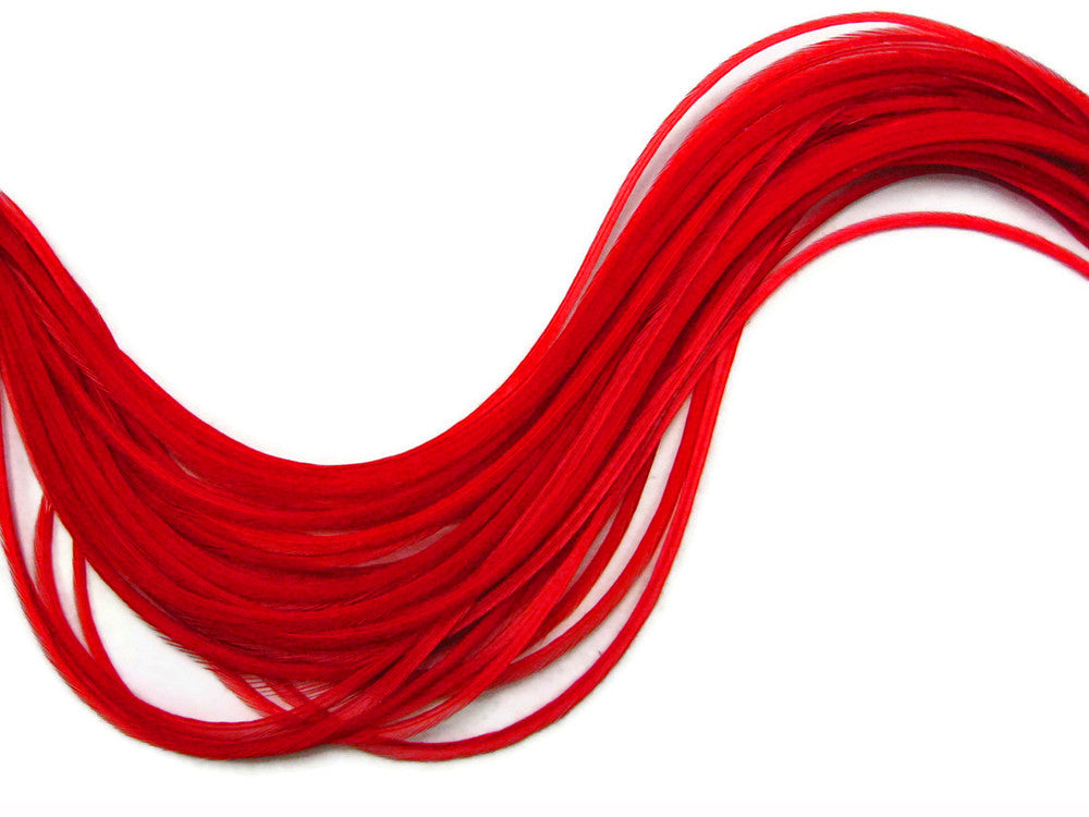 Vibrant red long feathers for fashion crafts and DIY décor on a white background.