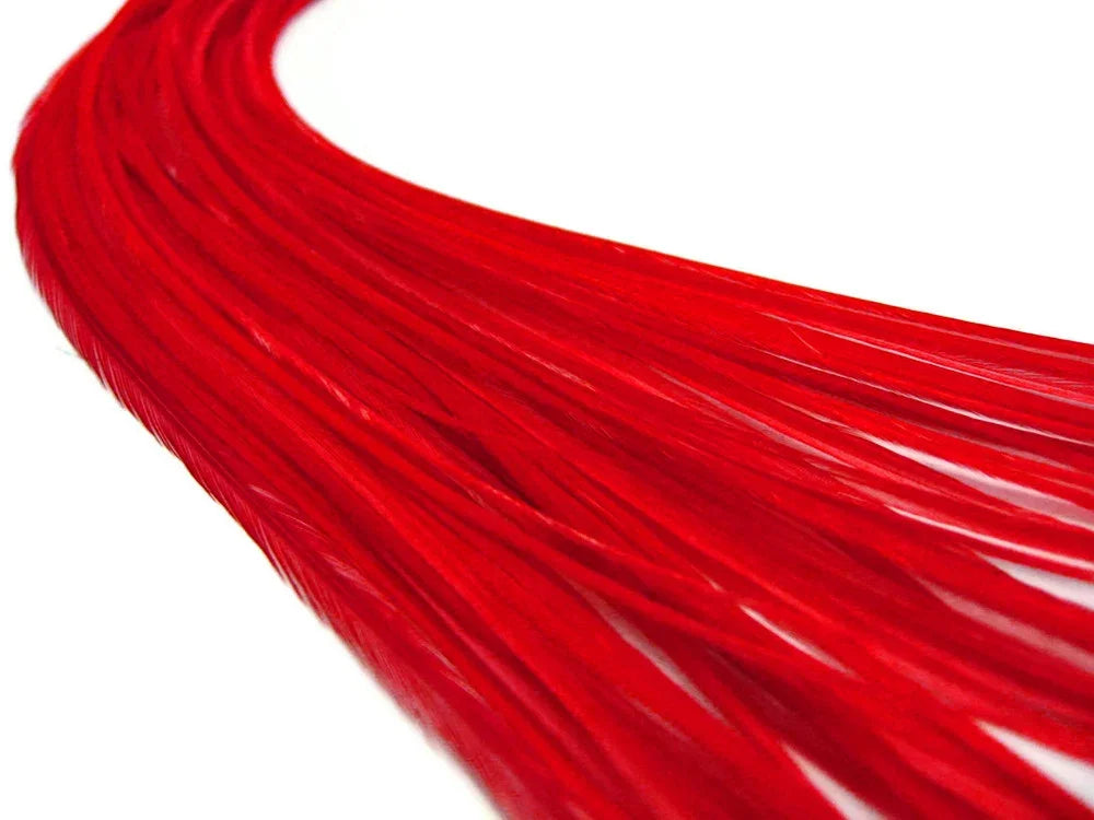 Vibrant red feathers for DIY crafts and fashion accessories on a white background.