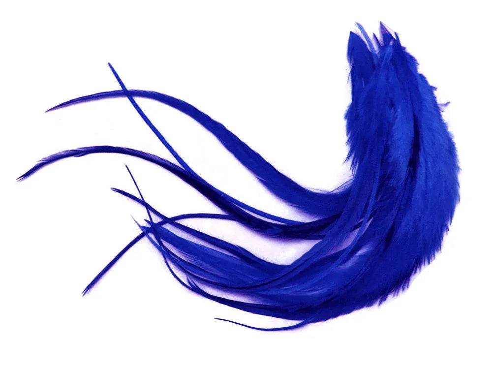 Royal blue dyed feathers for crafts and fashion on a white background