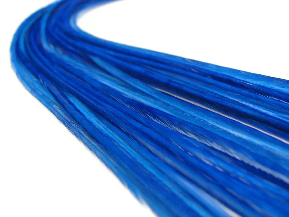 Close-up of vibrant blue dyed craft feathers curving across a white background