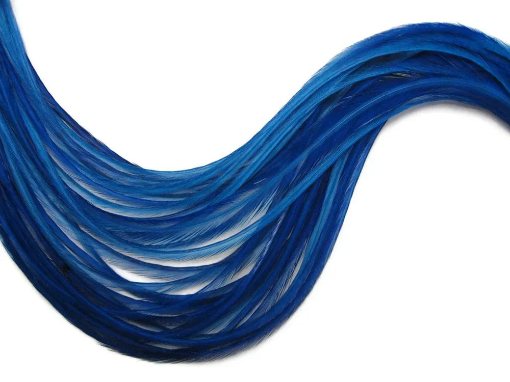 Vibrant blue feathers for fashion and craft DIY supplies on a white background.