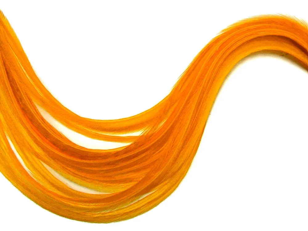 Vibrant orange craft feathers arranged in a flowing wave shape on a white background.