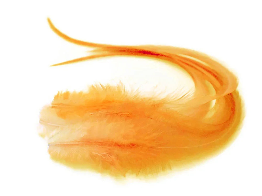 Soft orange ostrich feathers for fashion and DIY crafts on a white background.