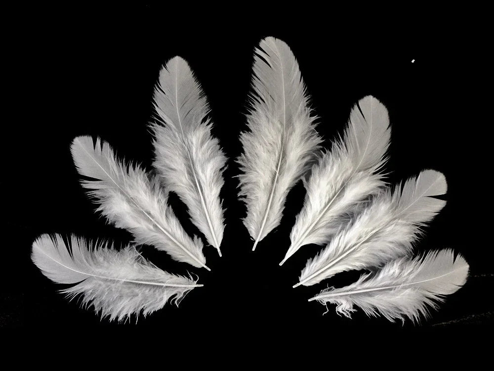 Seven soft white feathers arranged in a semi-circle on a black background for DIY crafts.