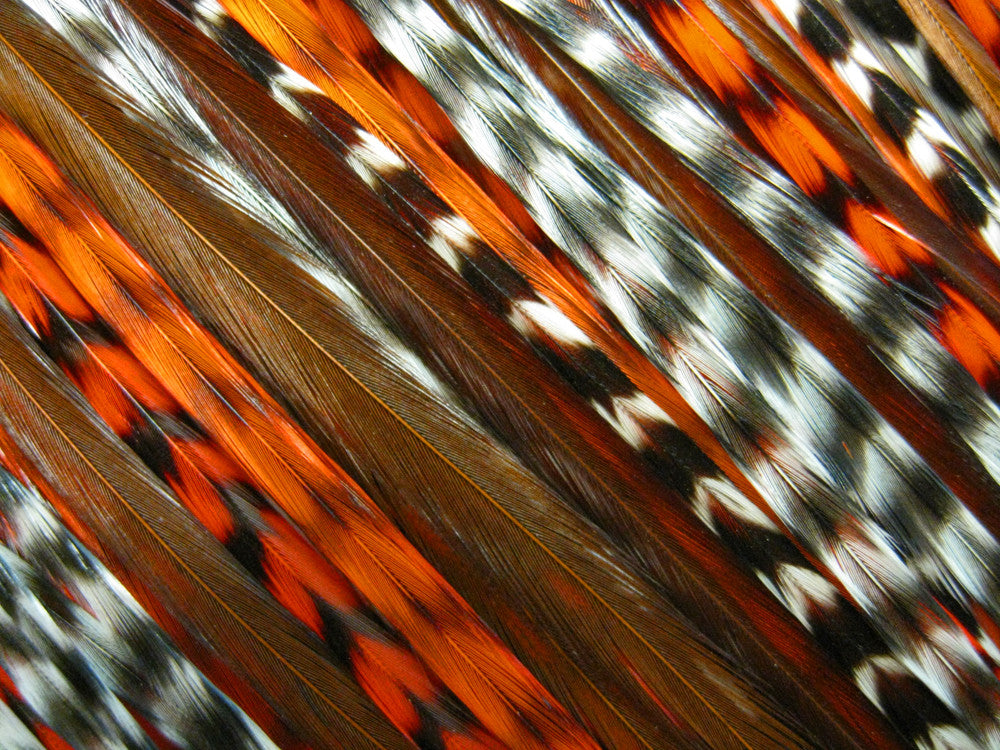 Summertime Mix Pack - Hair Extension Whiting Farm Feather Stainless Tool Kit & Silicone Beads