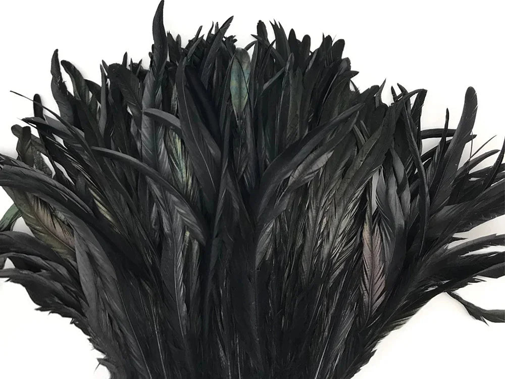 Bundle of long black feathers for DIY crafts, fashion, and décor accessories.