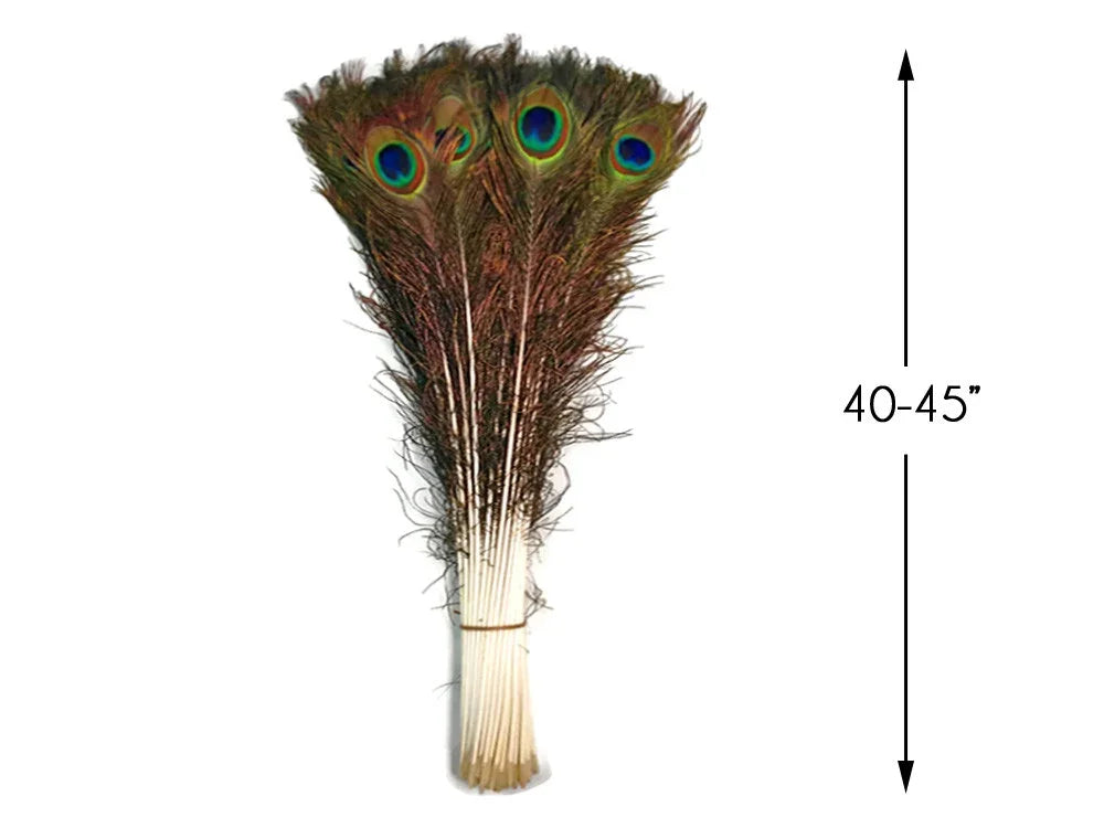 Bundle of natural peacock feathers for crafts and decor, 40-45 inches long.
