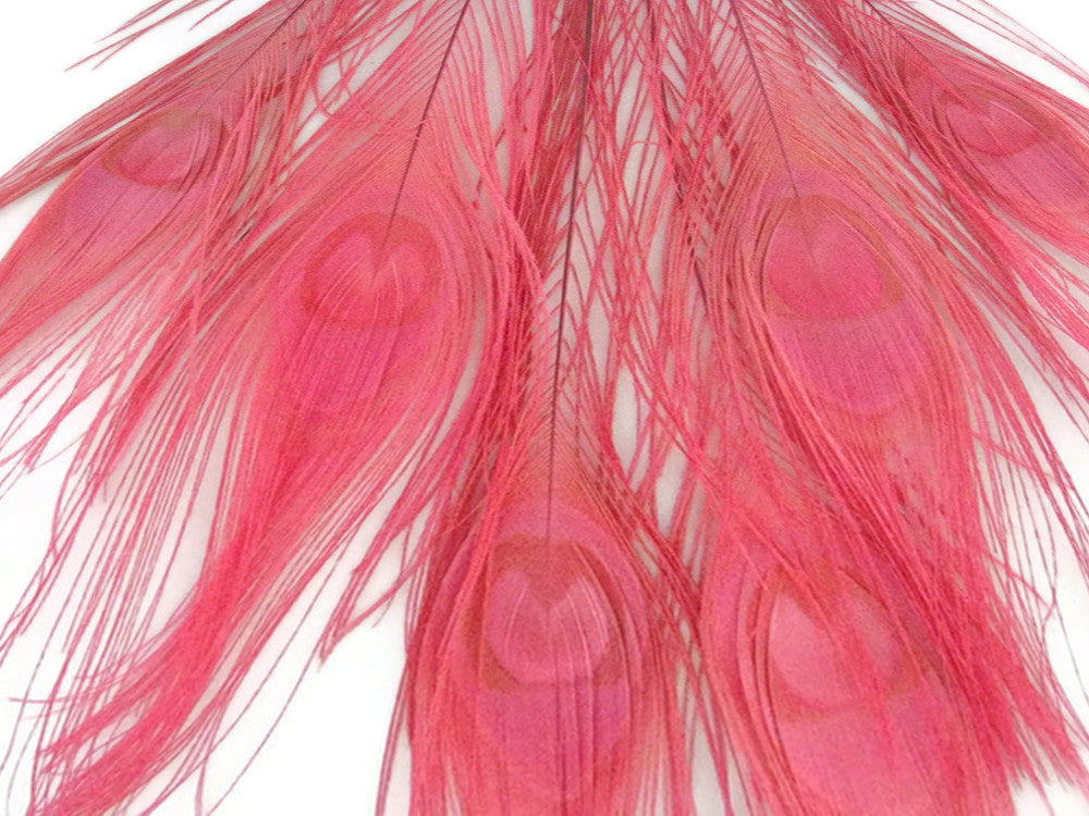 5 Pieces – Sweet Pink Bleached & Dyed Peacock Tail Eye Feathers 10-12” Long