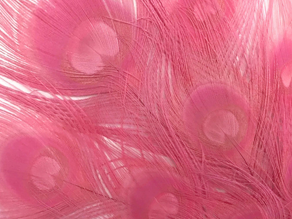 50 Pieces – Sweet Pink Bleached & Dyed Peacock Tail Eye Wholesale Feathers (Bulk) 10-12” Long