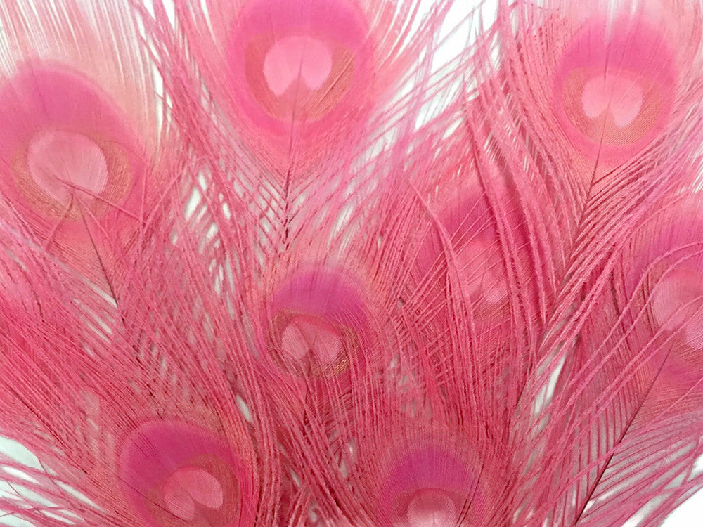 50 Pieces – Sweet Pink Bleached & Dyed Peacock Tail Eye Wholesale Feathers (Bulk) 10-12” Long
