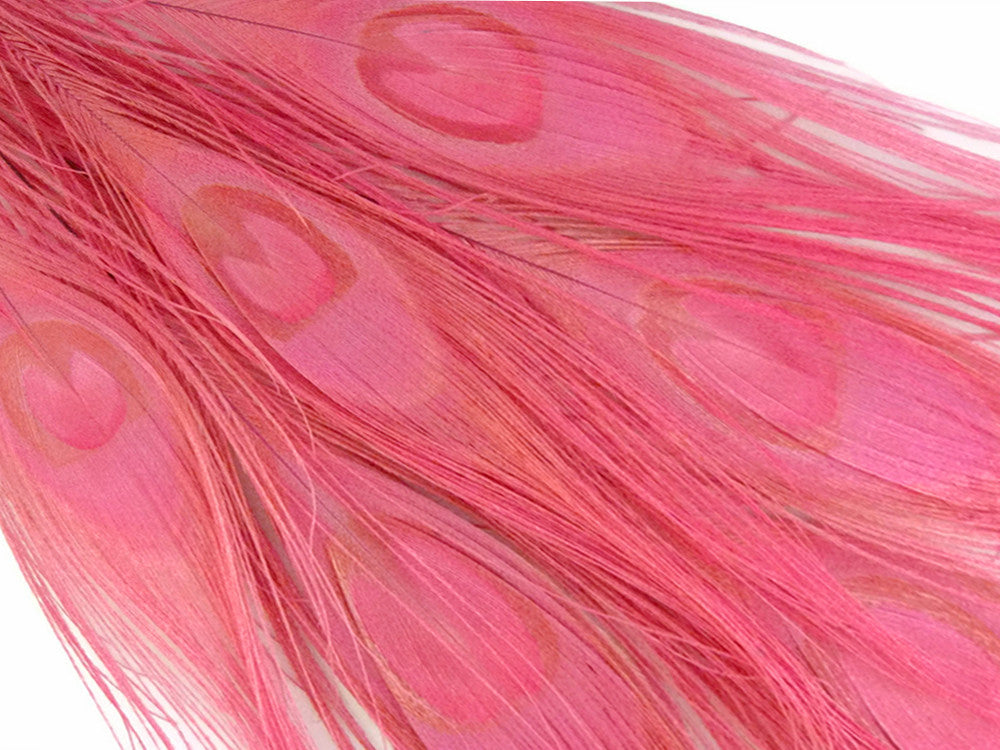 50 Pieces – Sweet Pink Bleached & Dyed Peacock Tail Eye Wholesale Feathers (Bulk) 10-12” Long