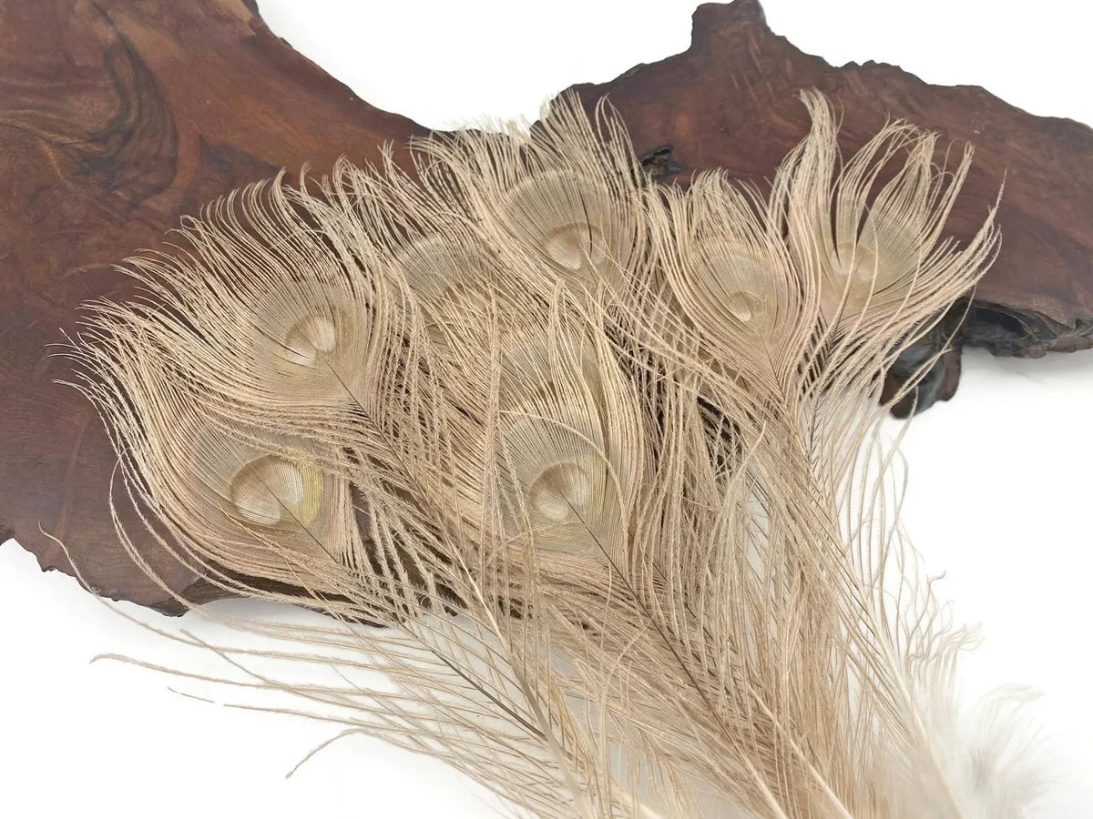Natural beige ostrich feathers for DIY crafts and fashion decor on a wooden base.