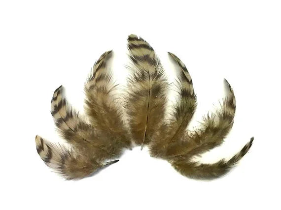 Natural brown and tan striped feathers for DIY crafts and fashion decor.