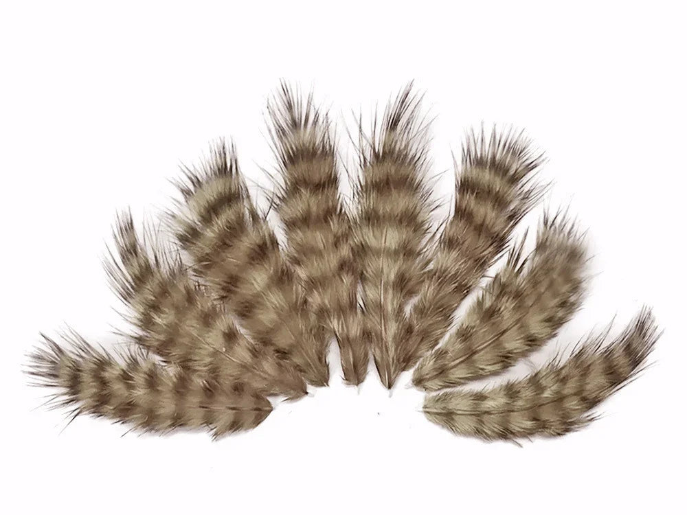 Natural brown and tan striped feathers for DIY crafts and fashion decor.