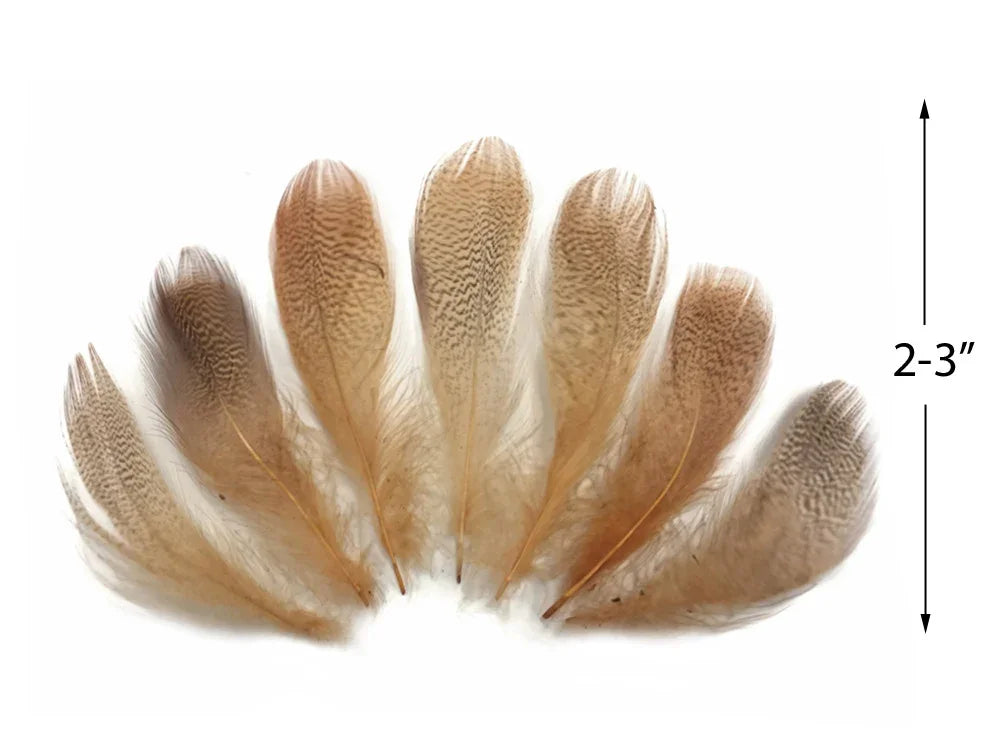 Set of seven brown patterned craft feathers, 2-3 inches in length.